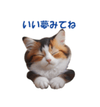 子猫のカワイイあいさつ（個別スタンプ：1）