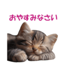 子猫のカワイイあいさつ（個別スタンプ：3）