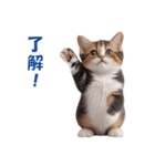 子猫のカワイイあいさつ（個別スタンプ：5）