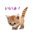 子猫のカワイイあいさつ（個別スタンプ：6）