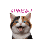 子猫のカワイイあいさつ（個別スタンプ：8）