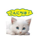 子猫のカワイイあいさつ（個別スタンプ：10）