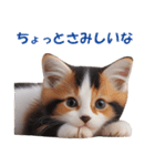 子猫のカワイイあいさつ（個別スタンプ：19）