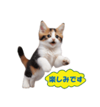 子猫のカワイイあいさつ（個別スタンプ：21）