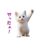 子猫のカワイイあいさつ（個別スタンプ：23）