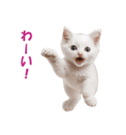 子猫のカワイイあいさつ（個別スタンプ：24）