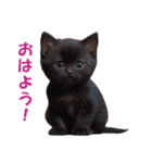 子猫のカワイイあいさつ（個別スタンプ：28）