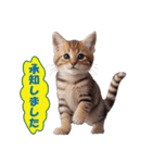 子猫のカワイイあいさつ（個別スタンプ：29）
