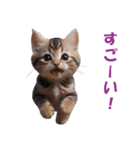 子猫のカワイイあいさつ（個別スタンプ：33）