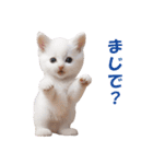 子猫のカワイイあいさつ（個別スタンプ：35）