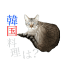 シャムトラミックスと日常会話4 -KAI-海（個別スタンプ：12）