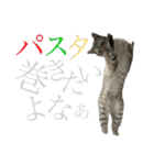 シャムトラミックスと日常会話4 -KAI-海（個別スタンプ：14）
