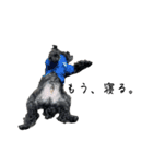 老犬かいぴー（個別スタンプ：27）