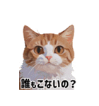 ボードゲーム好きな動物達（個別スタンプ：14）