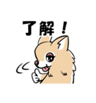 なんかきぃちゃん（個別スタンプ：6）