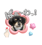ちわっくすのディディすたんぷ（個別スタンプ：2）