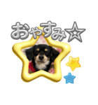 ちわっくすのディディすたんぷ（個別スタンプ：3）