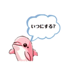 ピンクのイルカのスタンプ（個別スタンプ：13）