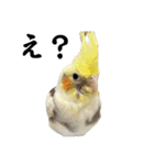 ナナチキと揚げ鳥（個別スタンプ：14）