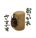 ゆるっと昆虫～敬語～（個別スタンプ：28）