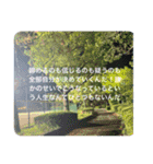 しょうやんの最高の君へのメッセージ 1（個別スタンプ：11）