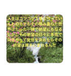 しょうやんの最高の君へのメッセージ 1（個別スタンプ：15）