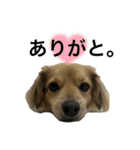 ちくわのすたんぷ⋆⸜☾‎（個別スタンプ：3）