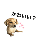 ちくわのすたんぷ⋆⸜☾‎（個別スタンプ：17）