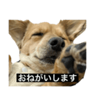 ちくわのすたんぷ⋆⸜☾‎（個別スタンプ：21）
