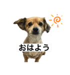 ちくわのすたんぷ⋆⸜☾‎（個別スタンプ：24）