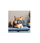 日常生活で使える猫ミーム（個別スタンプ：7）