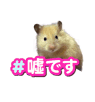 ハムスターまったり（個別スタンプ：5）