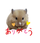 ハムスターまったり（個別スタンプ：25）