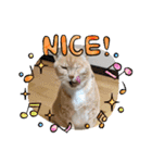 ちぃ猫.の日常Vol.4（個別スタンプ：1）
