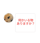 ちぃ猫.の日常Vol.4（個別スタンプ：11）