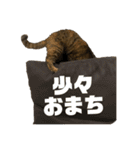 おいらスウ（個別スタンプ：4）