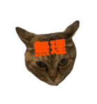 おいらスウ（個別スタンプ：9）