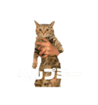 おいらスウ（個別スタンプ：16）