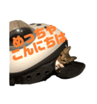 おいらスウ（個別スタンプ：17）