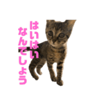おいらスウ（個別スタンプ：19）