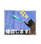 花ちゃんパート3（個別スタンプ：2）