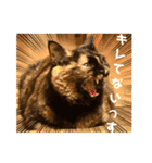 花ちゃんパート3（個別スタンプ：4）