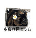 花ちゃんパート3（個別スタンプ：7）