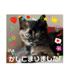花ちゃんパート3（個別スタンプ：9）