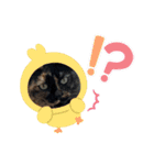 花ちゃんパート3（個別スタンプ：13）