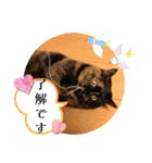 花ちゃんパート3（個別スタンプ：16）