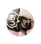 花ちゃんパート3（個別スタンプ：24）