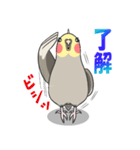 ふ〜たろスタンプ②（個別スタンプ：5）