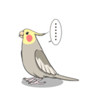 ふ〜たろスタンプ②（個別スタンプ：10）