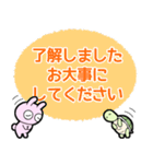 かめとうさぎのOK了解（個別スタンプ：12）